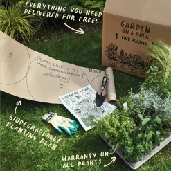 Sensory Border Collection - 5m X 60cm -Garden Haven Shop 12806841 1735034598402608