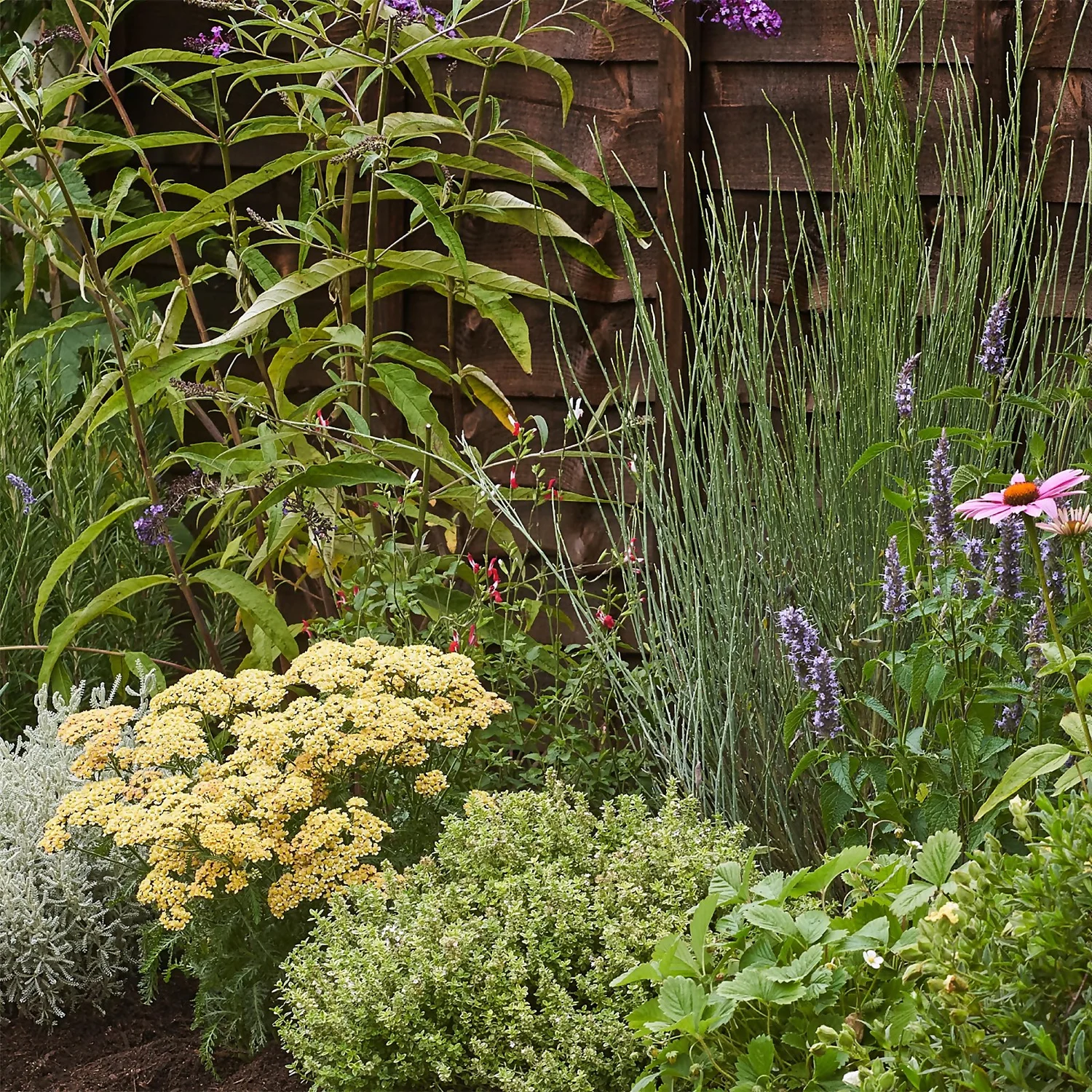 Sensory Border Collection - 7m X 60cm 5 Sensory Border Collection - 7m X 60cm - Image 5