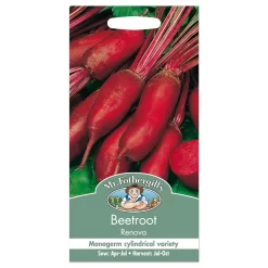 Mr. Fothergill's Beetroot Renova Seeds