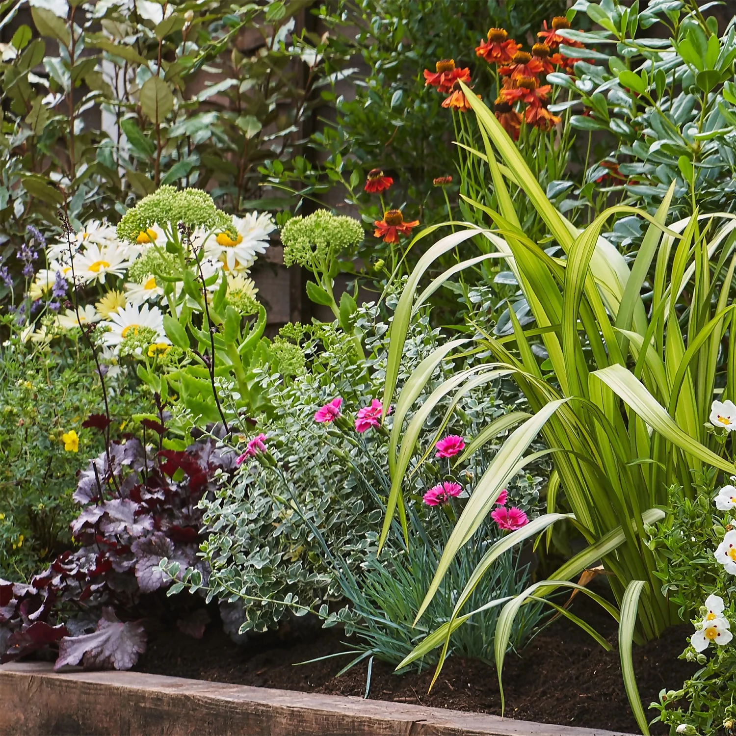 Sunny Border Collection - 3m X 90cm 4 Sunny Border Collection - 3m X 90cm - Image 4