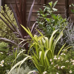 Mediterranean Border Collection - 9m X 60cm -Garden Haven Shop 12811477 5755027868350166