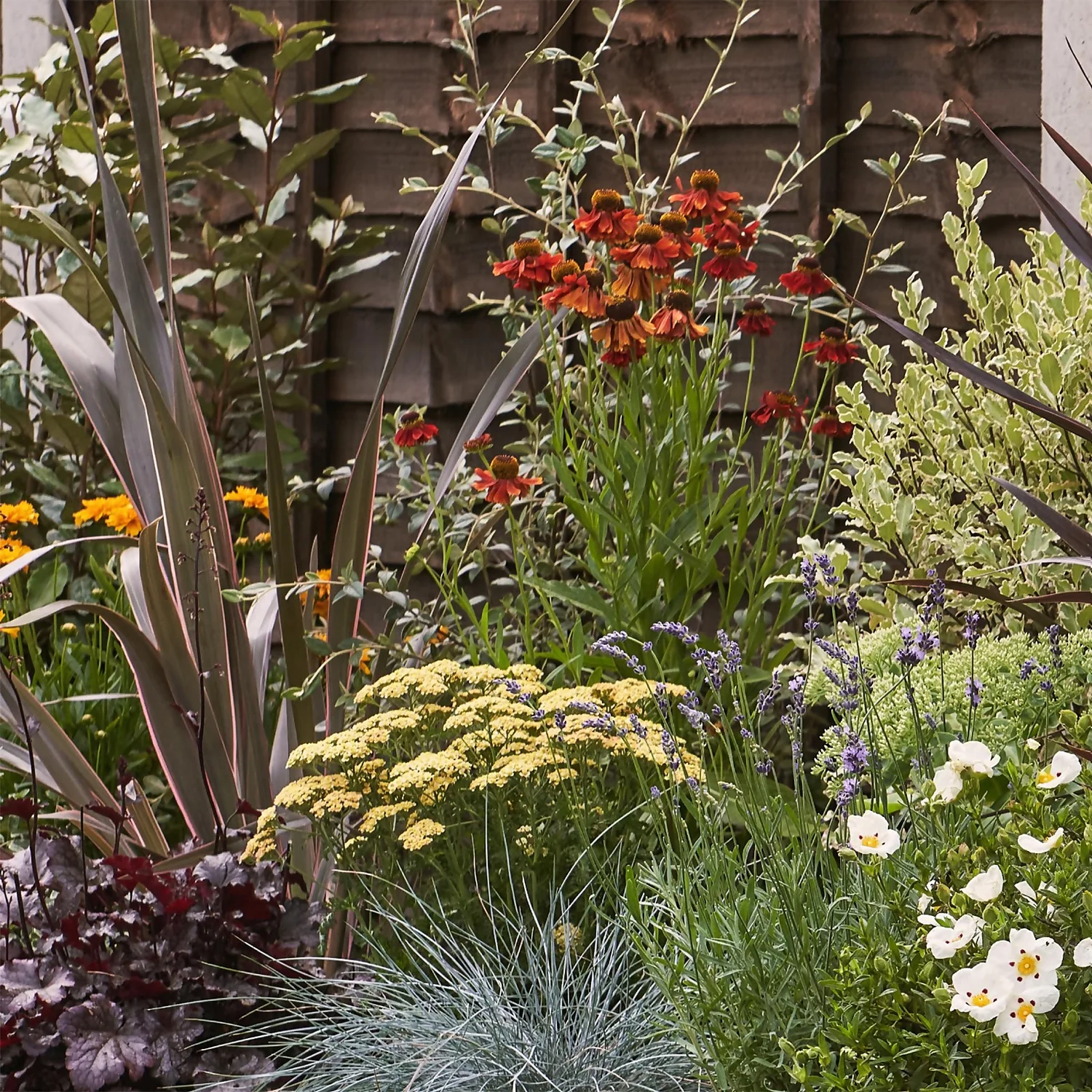 Mediterranean Border Collection - 3m X 90cm 4 Mediterranean Border Collection - 3m X 90cm - Image 4