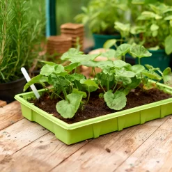 Seed Trays (Pack Of 4)