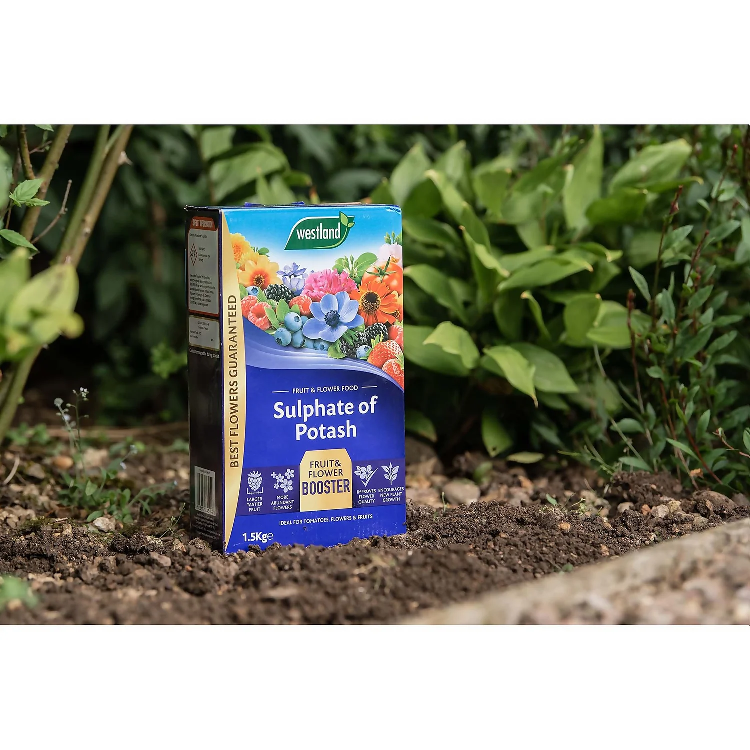 Westland Sulphate Of Potash - 1.5kg 2 Westland Sulphate Of Potash - 1.5kg - Image 2