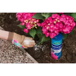 Westland Hydrangea Colourant - 500g -Garden Haven Shop 12816266 1294971590389137