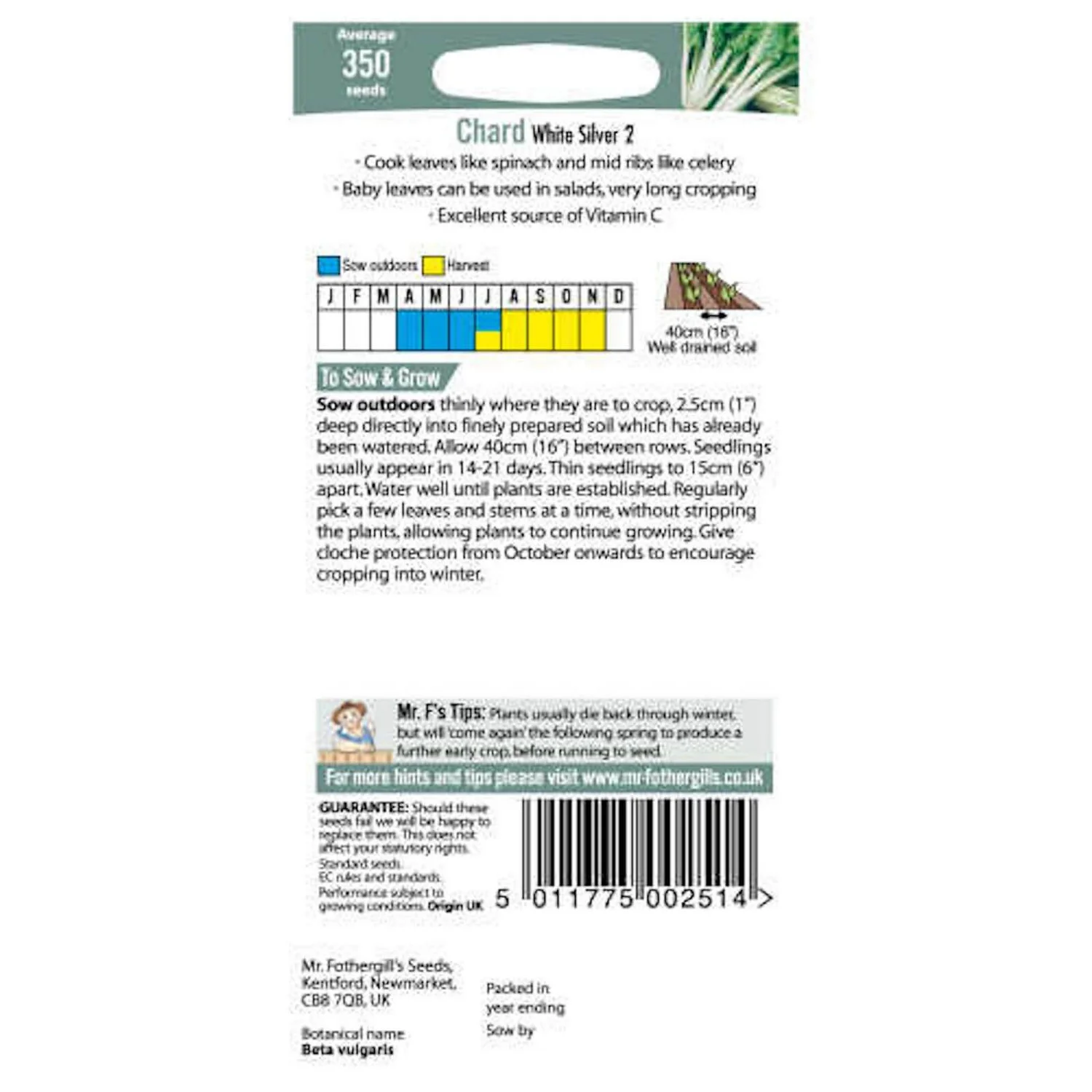 Mr. Fothergill's Chard White Silver 2 Seeds 2 Mr. Fothergill's Chard White Silver 2 Seeds - Image 2