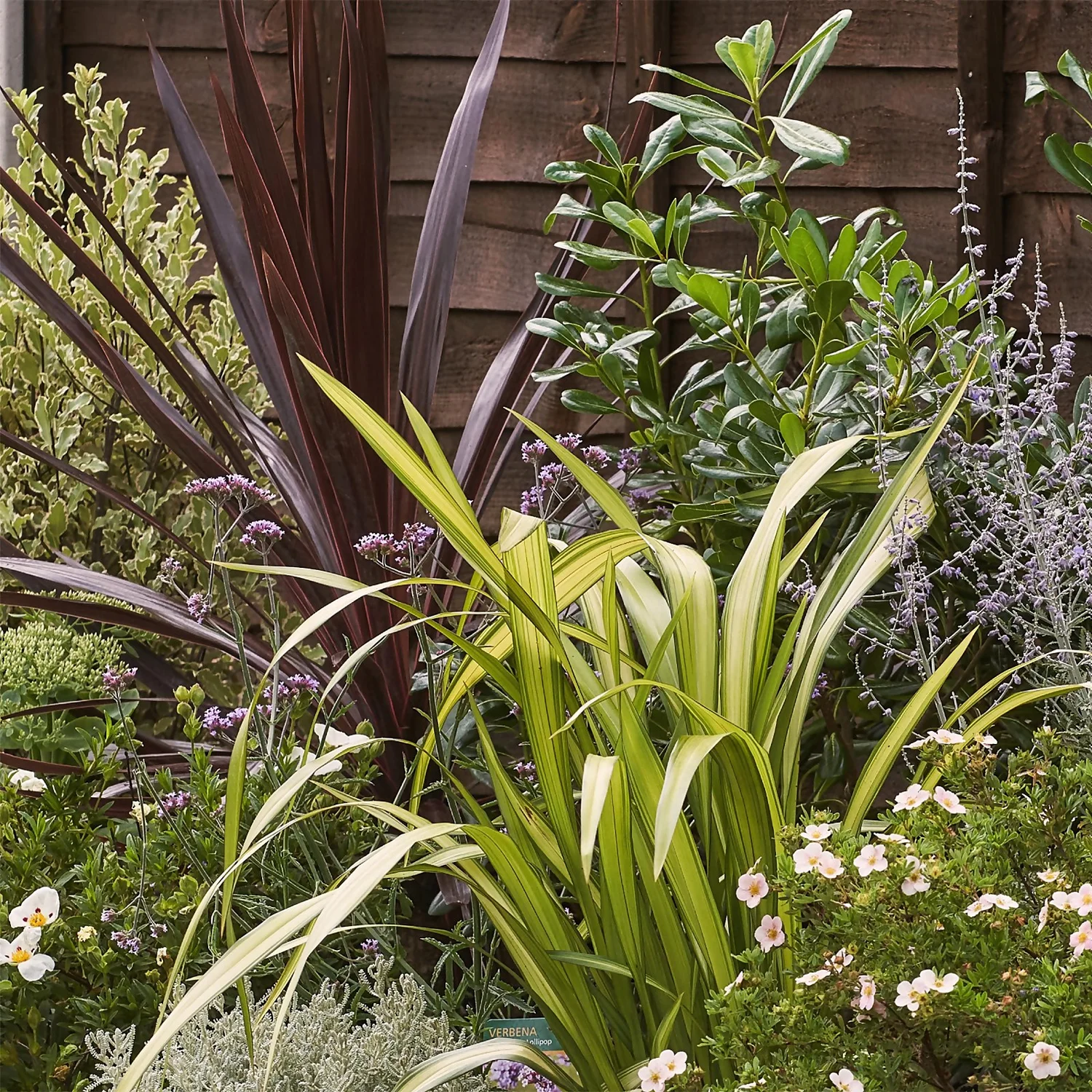 Mediterranean Border 4m X 40cm 5 Mediterranean Border 4m X 40cm - Image 5