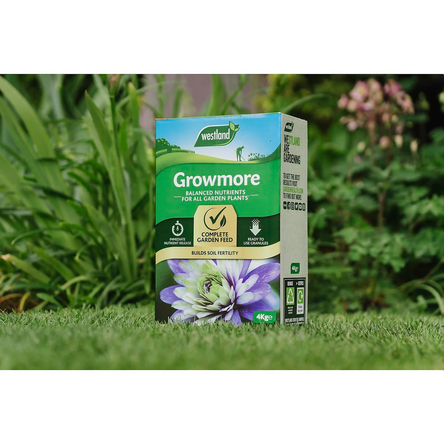 Westland Growmore Balanced Garden Fertiliser For All Plants - 4kg 2 Westland Growmore Balanced Garden Fertiliser For All Plants - 4kg - Image 2
