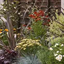 Mediterranean Border 9m X 40cm 10 Mediterranean Border 9m X 40cm -Garden Haven Shop 12823615 1235027803090500