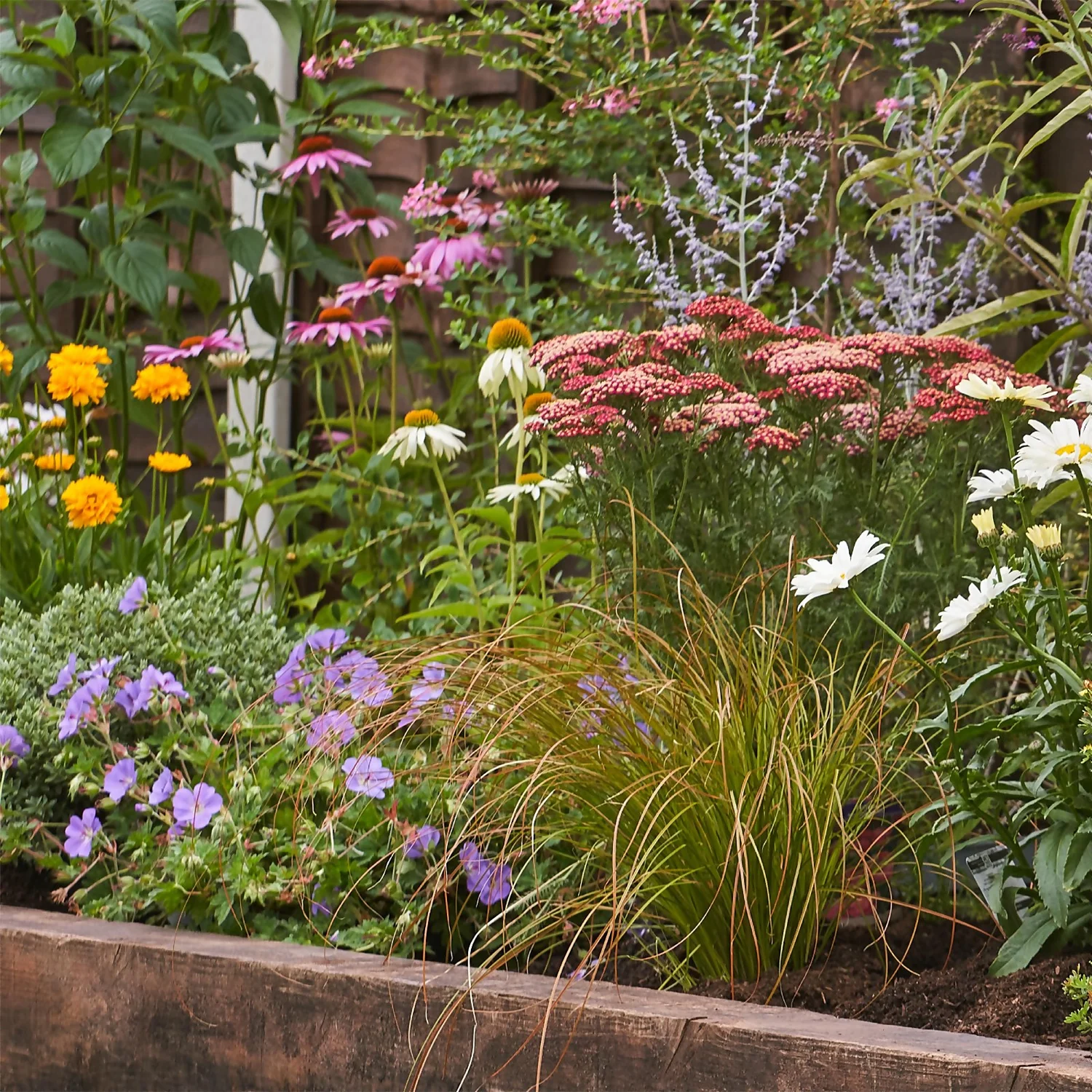 Bee And Butterfly Border 5m X 40cm 4 Bee And Butterfly Border 5m X 40cm - Image 4