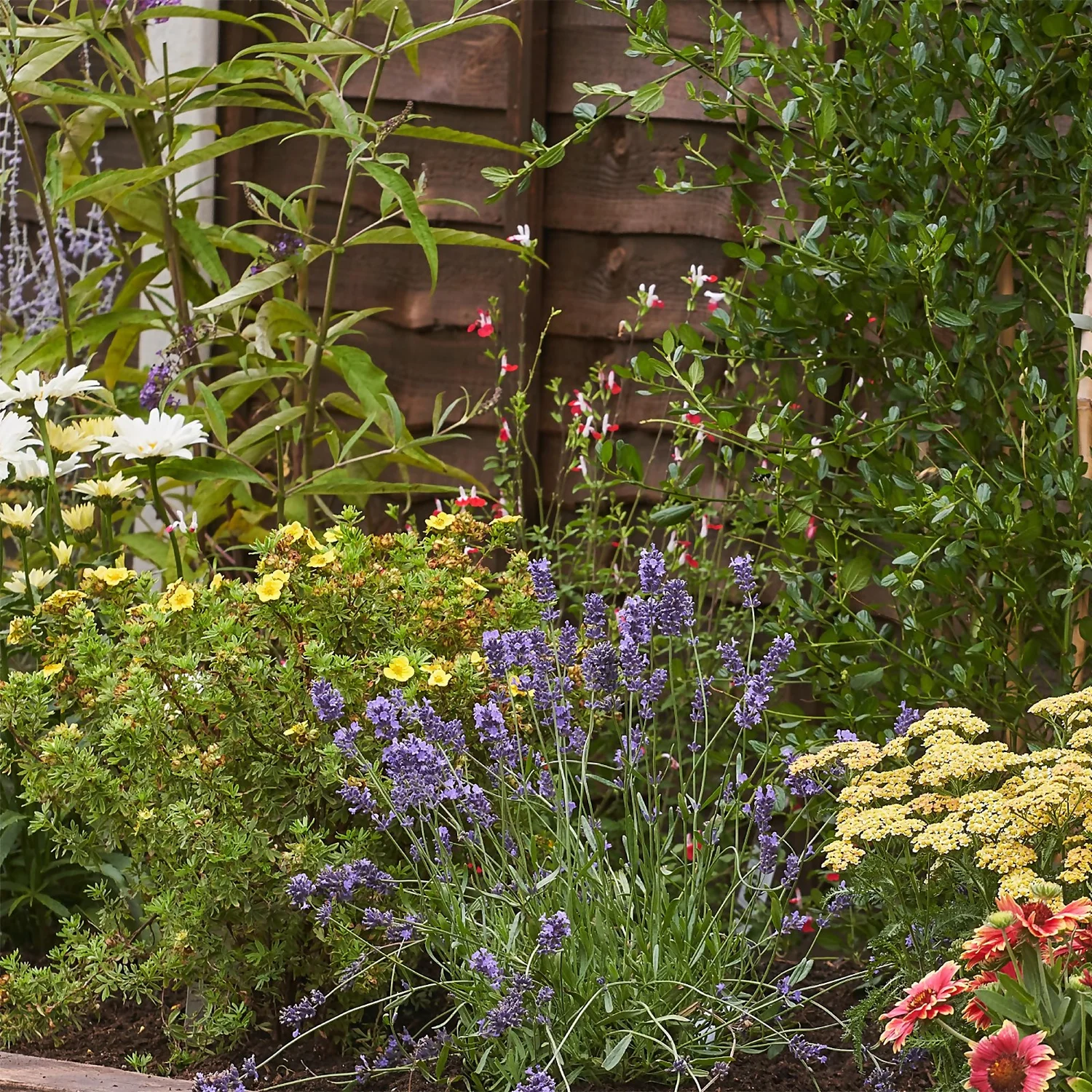 Bee And Butterfly Border 5m X 40cm 5 Bee And Butterfly Border 5m X 40cm - Image 5