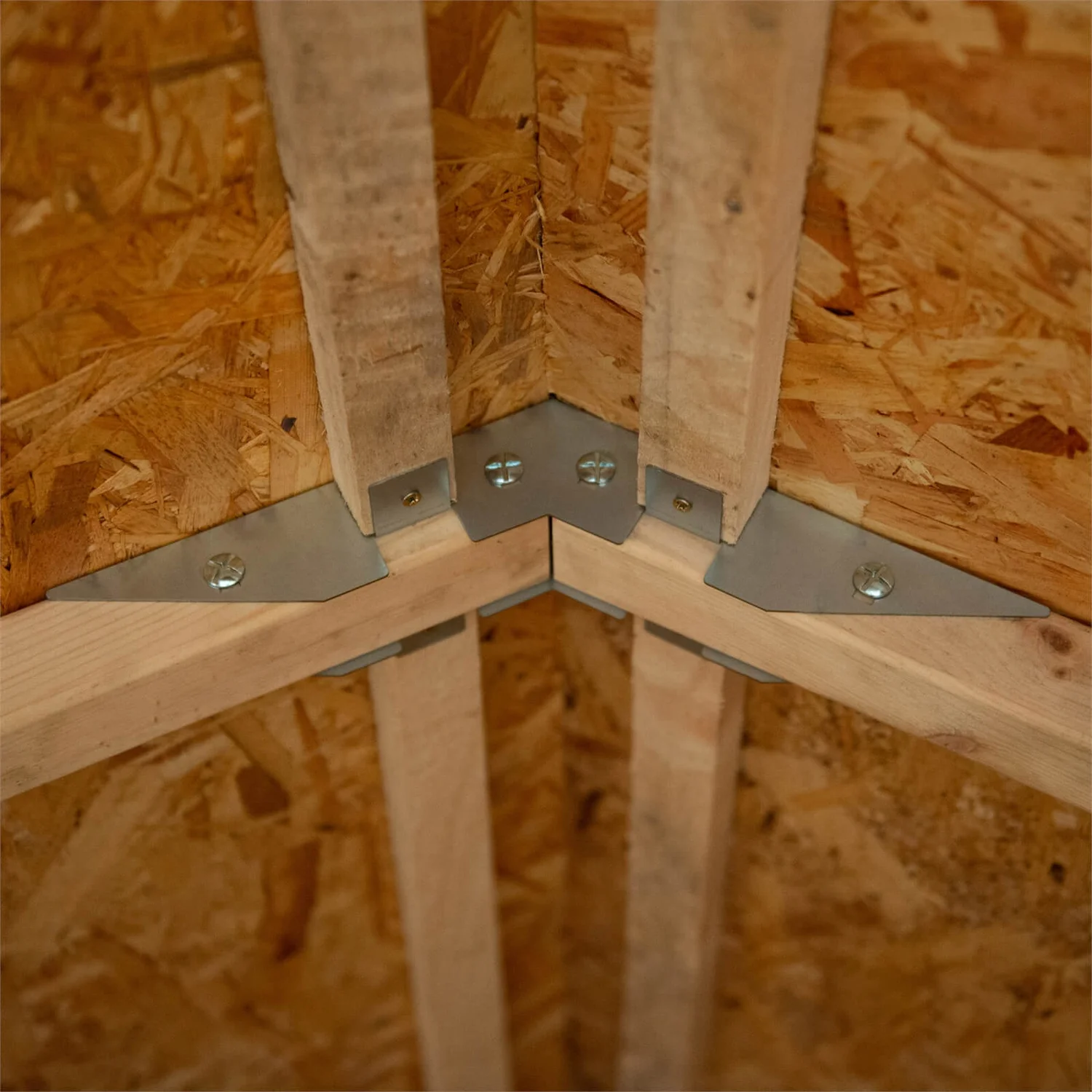 Forest 10 X 10ft Overlap Pressure Treated Double Door Apex Shed 6 Forest 10 X 10ft Overlap Pressure Treated Double Door Apex Shed - Image 6