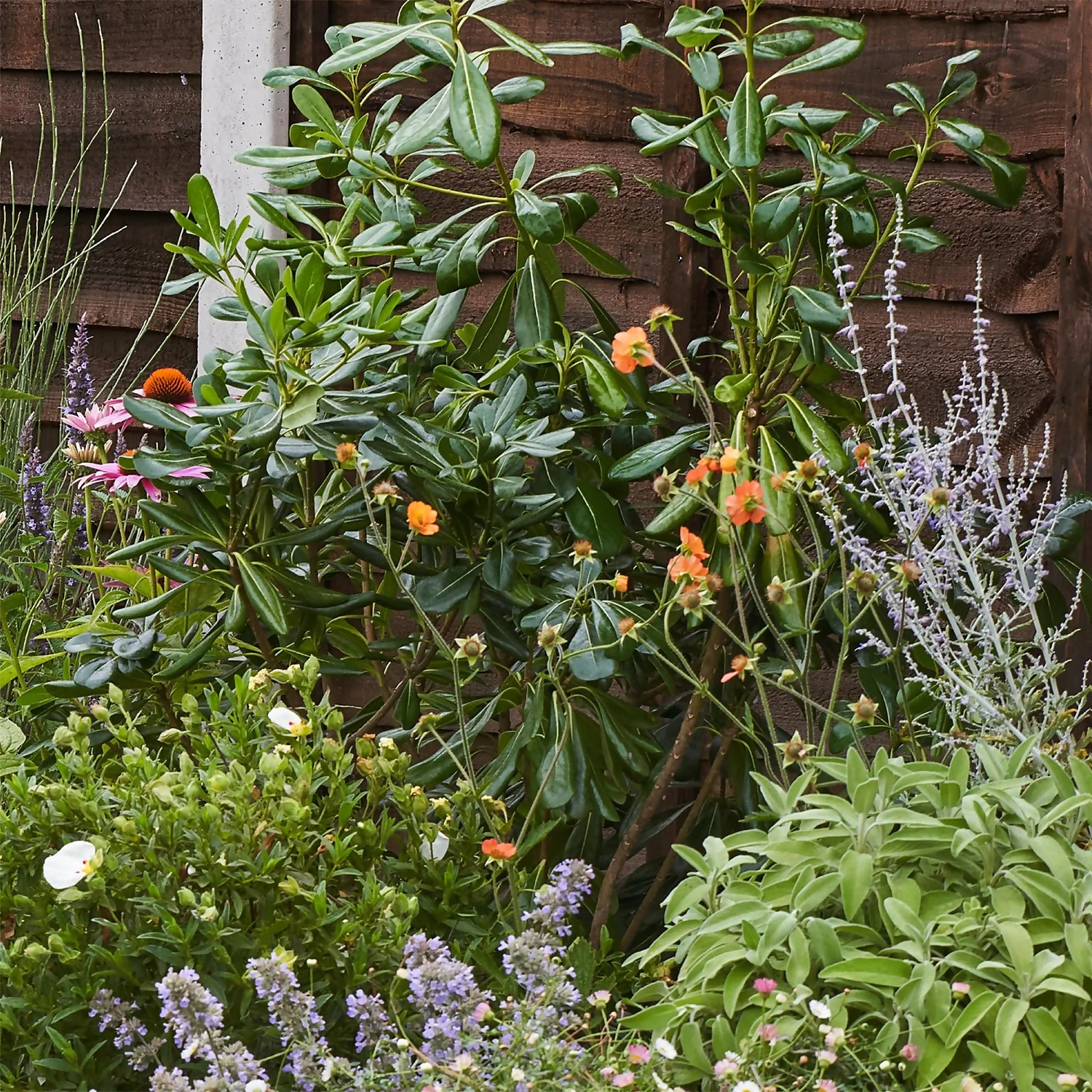 Sensory Border 7m X 40cm 6 Sensory Border 7m X 40cm - Image 6