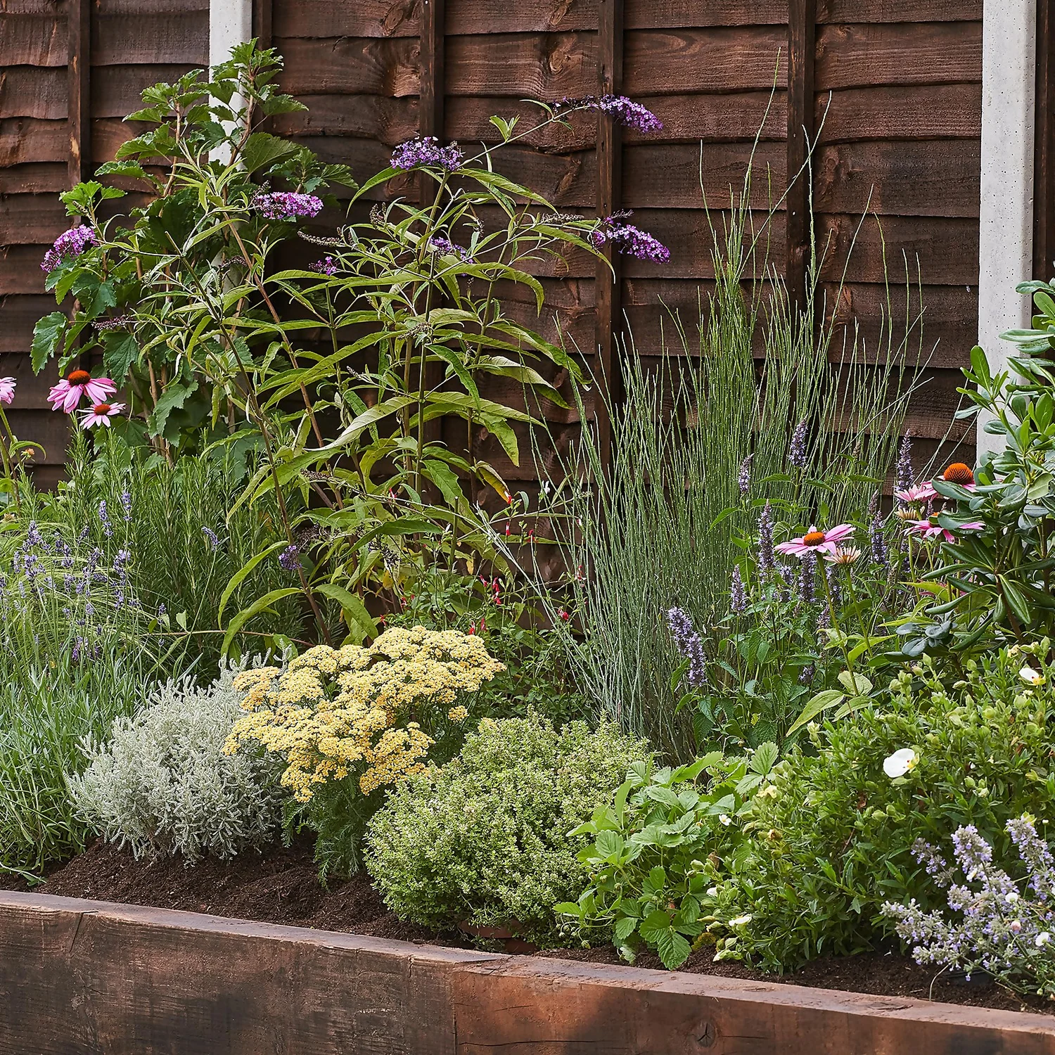 Sensory Border 7m X 40cm 1 Sensory Border 7m X 40cm