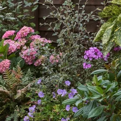 Shady Border 7m X 120cm -Garden Haven Shop 12827318 7365034638116344