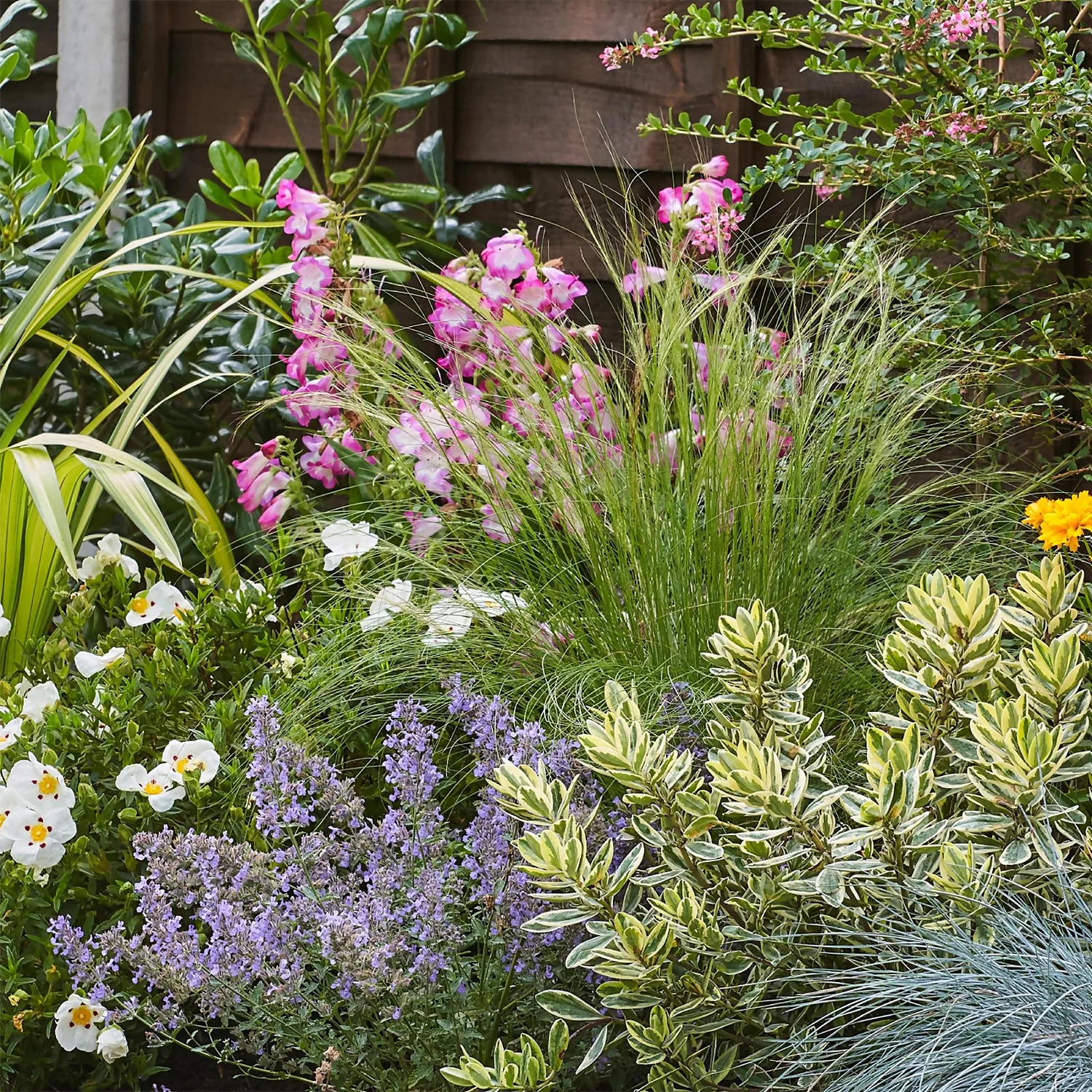 Sunny Border 2m X 120cm 5 Sunny Border 2m X 120cm - Image 5