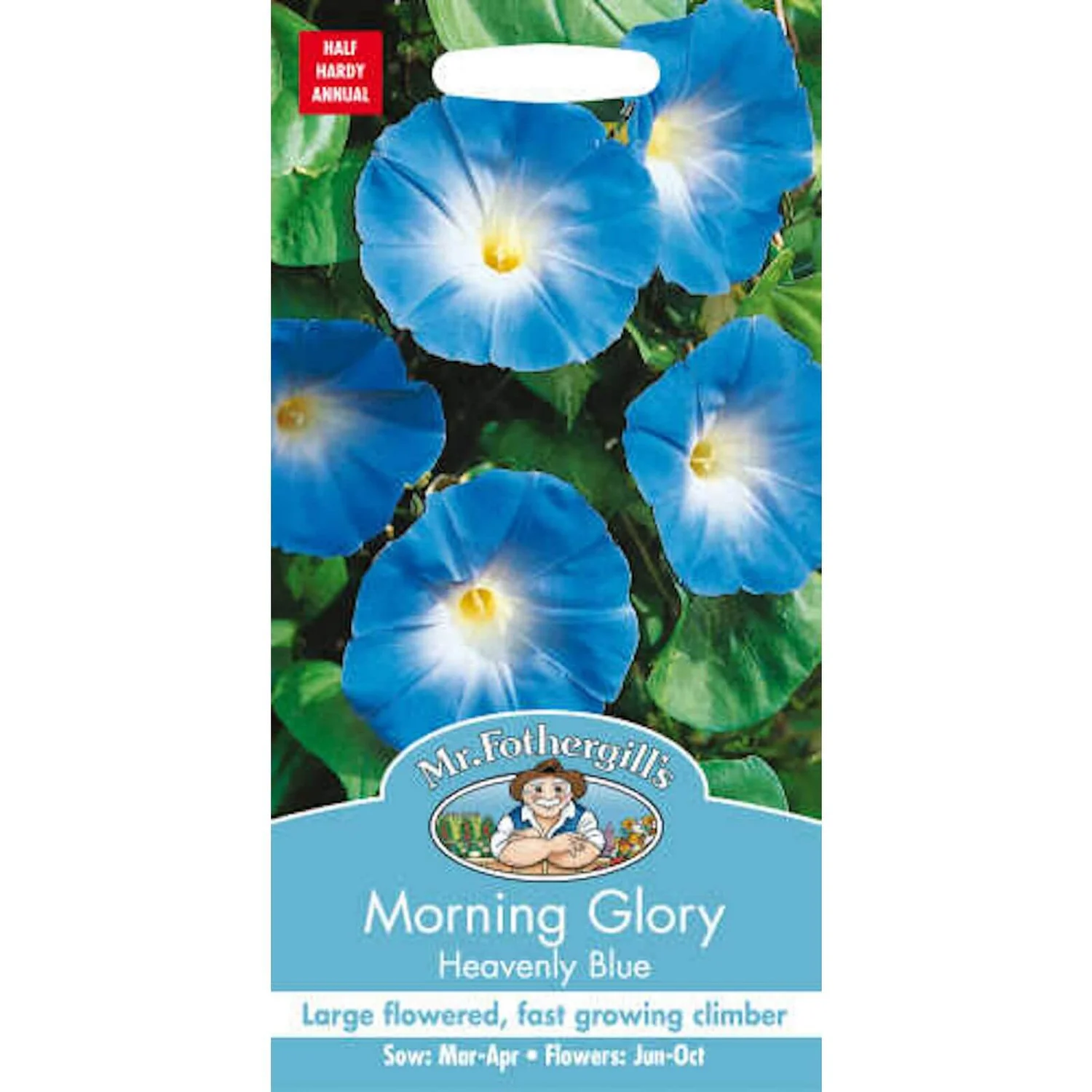 Mr. Fothergill's Morning Glory Heavenly Blue (Ipomoea Purpurea) Seeds 1 Mr. Fothergill's Morning Glory Heavenly Blue (Ipomoea Purpurea) Seeds