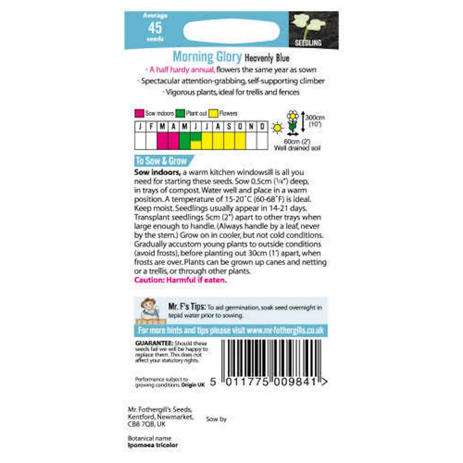 Mr. Fothergill's Morning Glory Heavenly Blue (Ipomoea Purpurea) Seeds 2 Mr. Fothergill's Morning Glory Heavenly Blue (Ipomoea Purpurea) Seeds - Image 2