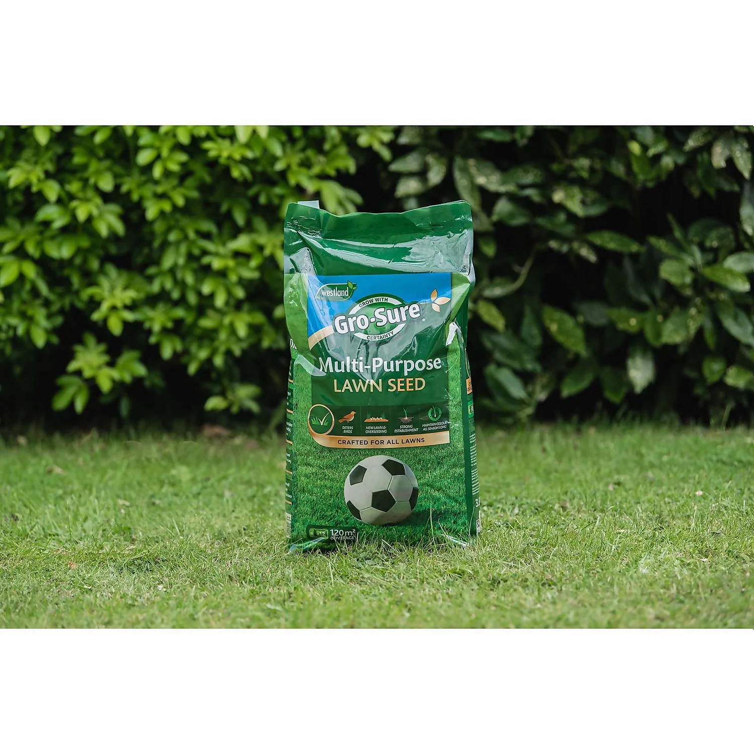 Gro-Sure Multi-Purpose Lawn Seed 375m² 2 Gro-Sure Multi-Purpose Lawn Seed 375m² - Image 2