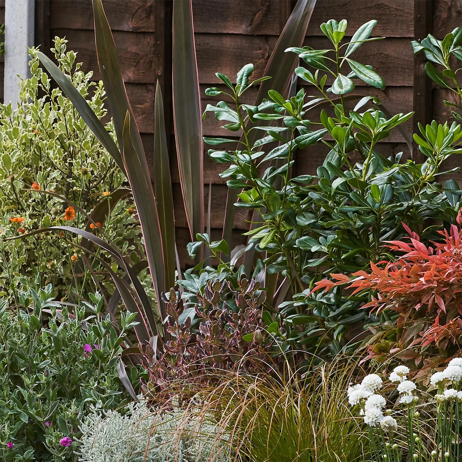 Garden On A Roll Eco Border - 10m X 90cm 5 Garden On A Roll Eco Border - 10m X 90cm - Image 5