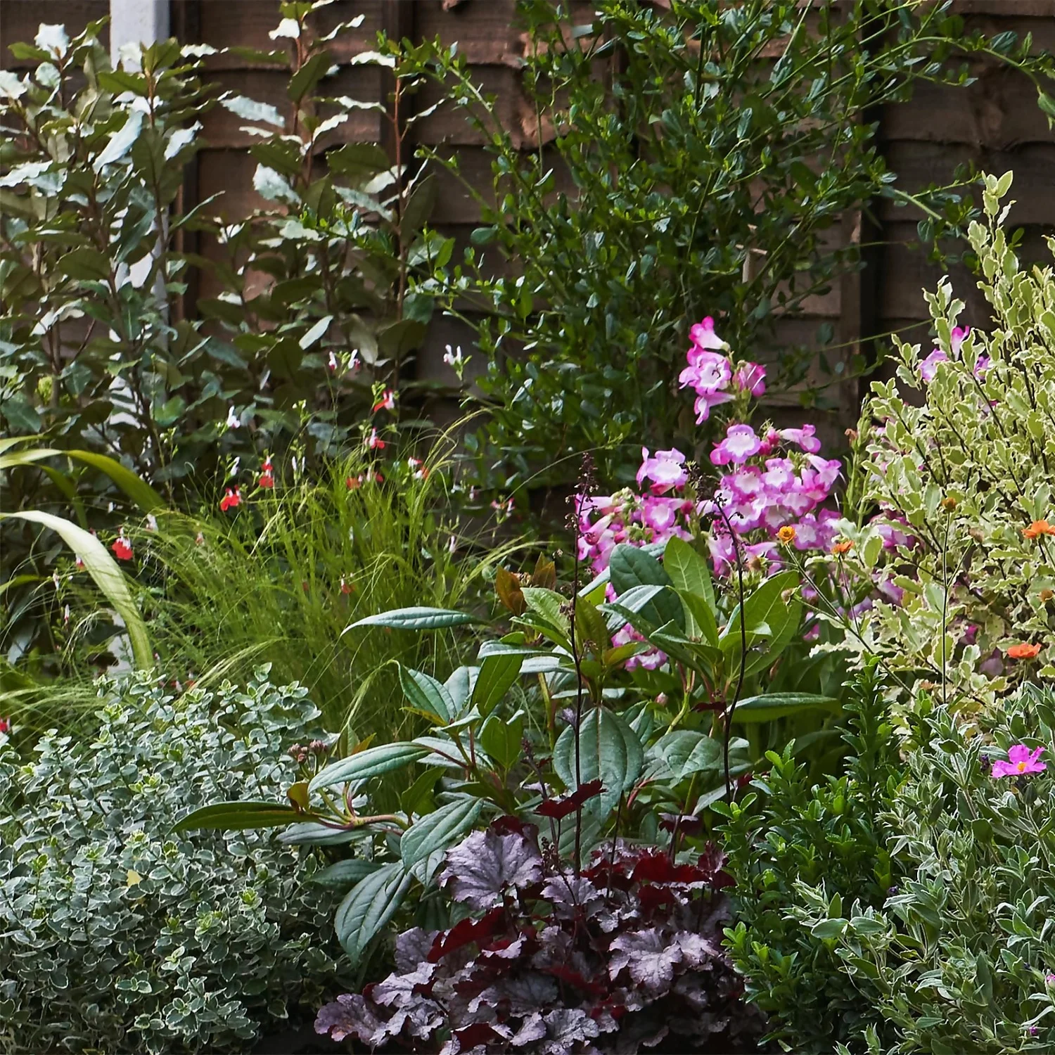 Garden On A Roll Eco Border - 10m X 90cm 4 Garden On A Roll Eco Border - 10m X 90cm - Image 4