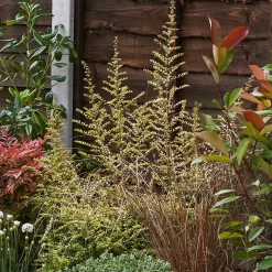 Garden On A Roll Eco Border - 10m X 120cm 12 Garden On A Roll Eco Border - 10m X 120cm -Garden Haven Shop 12838167 1535027900273544