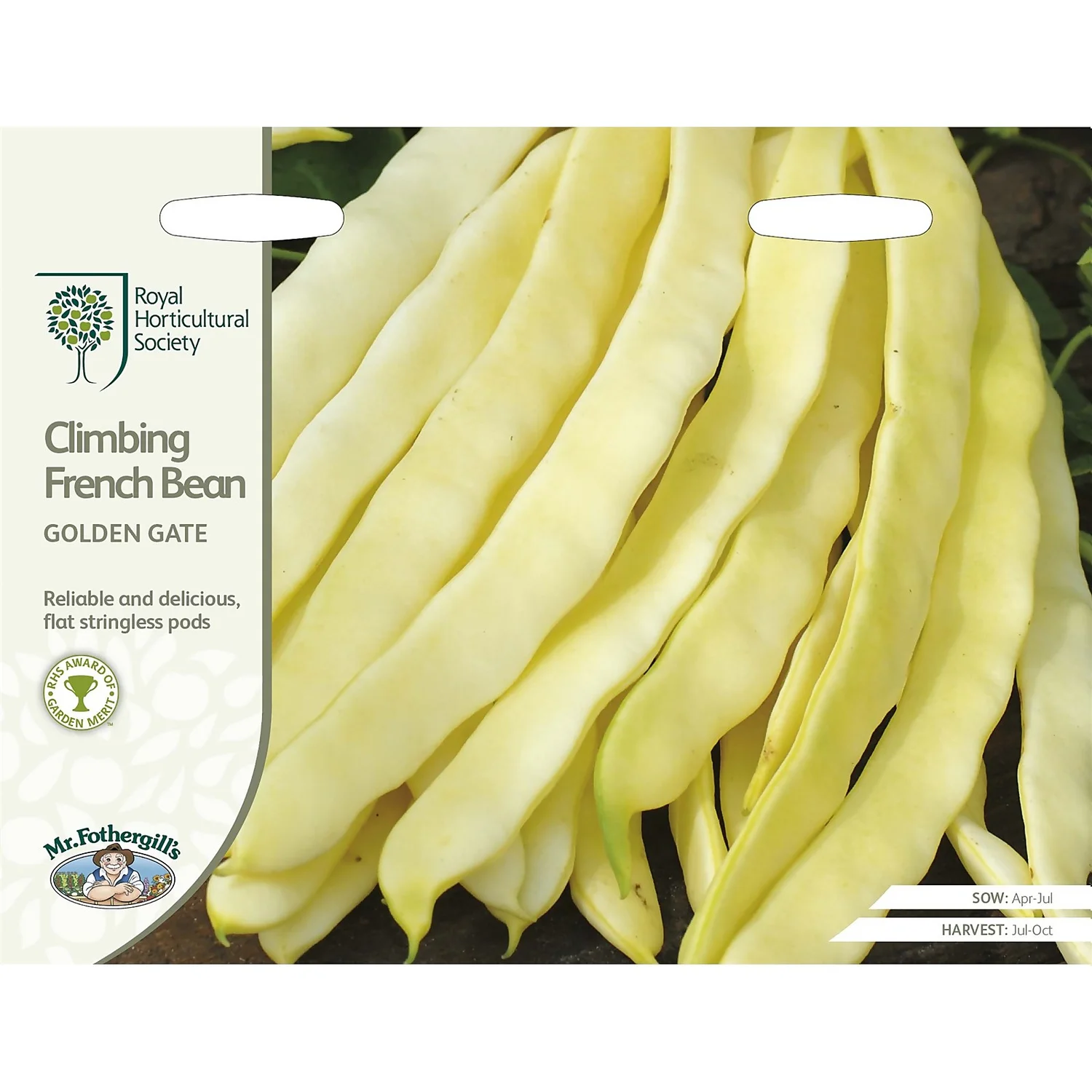 RHS Climbing French Bean Golden Gate Seeds 1 RHS Climbing French Bean Golden Gate Seeds