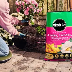 Miracle Gro Premium Azalea, Camellia & Rhododendron Ericaceous Compost - 40L 10 Miracle Gro Premium Azalea, Camellia & Rhododendron Ericaceous Compost - 40L -Garden Haven Shop 12882812 1924843671918789