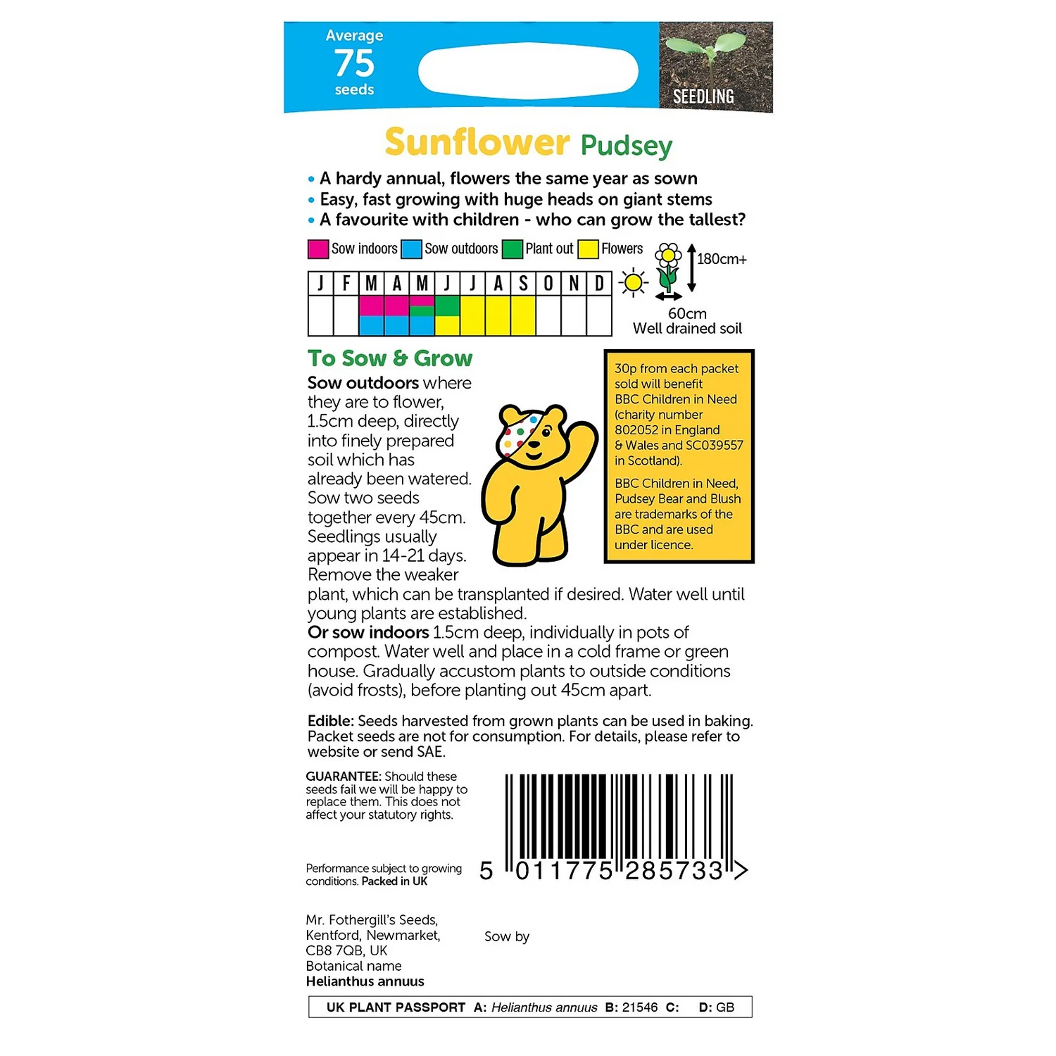 MRF CIN Sunflower Pudsey Packet 2 MRF CIN Sunflower Pudsey Packet - Image 2