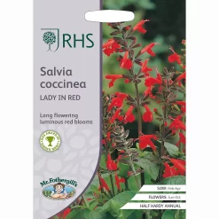 RHS Salvia Coccinea Lady In Red