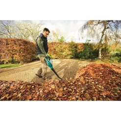 Bosch ALB 18 Li Cordless Garden Blower 8 Bosch ALB 18 Li Cordless Garden Blower -Garden Haven Shop 12885389 8914843941828771