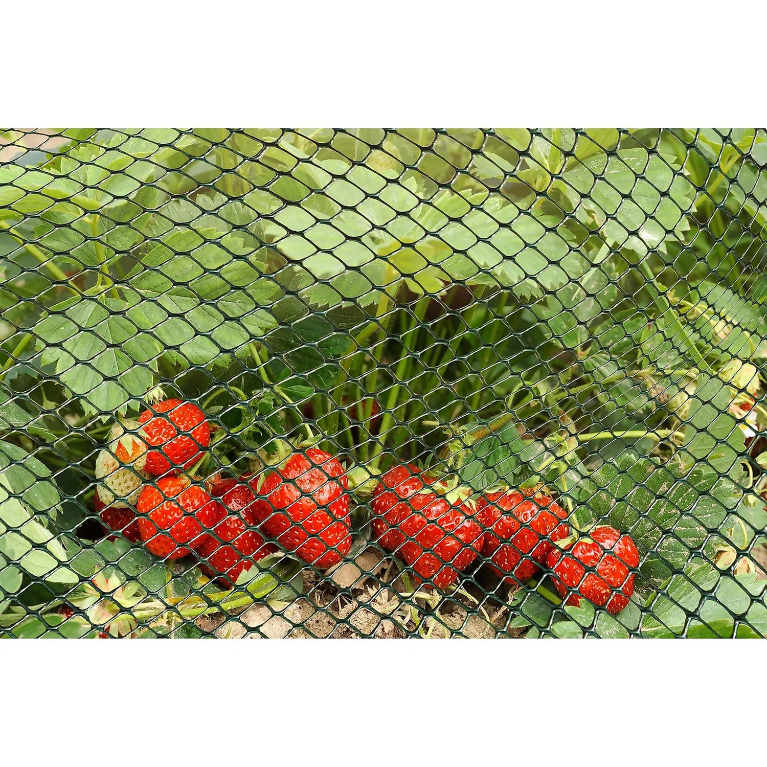 15mm Green Multi-Mesh - 5m X 1m 2 15mm Green Multi-Mesh - 5m X 1m - Image 2