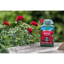 Westland Rose Specialist Liquid Plant Food Concentrate - 1l 9 Westland Rose Specialist Liquid Plant Food Concentrate - 1l -Garden Haven Shop 12886481 2064851896034990