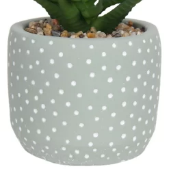 Small Succulent - Green -Garden Haven Shop 12909501 1514869235621446