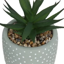 Small Succulent - Green -Garden Haven Shop 12909501 2094869235594320