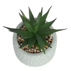 Small Succulent - Green -Garden Haven Shop 12909501 6844869235562523