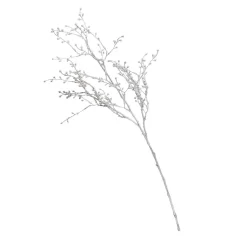 Silver Branch