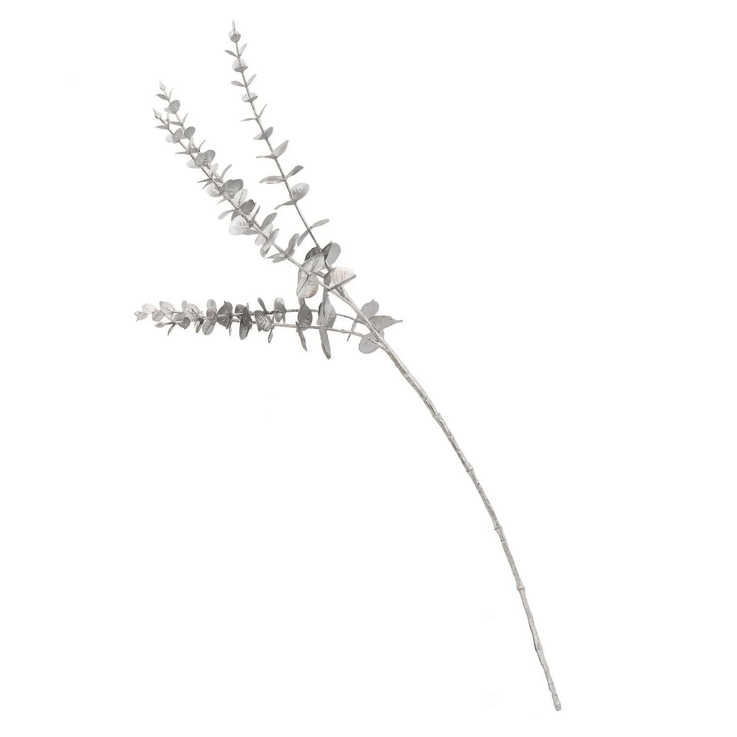 Eucalyptus - Silver 1 Eucalyptus - Silver