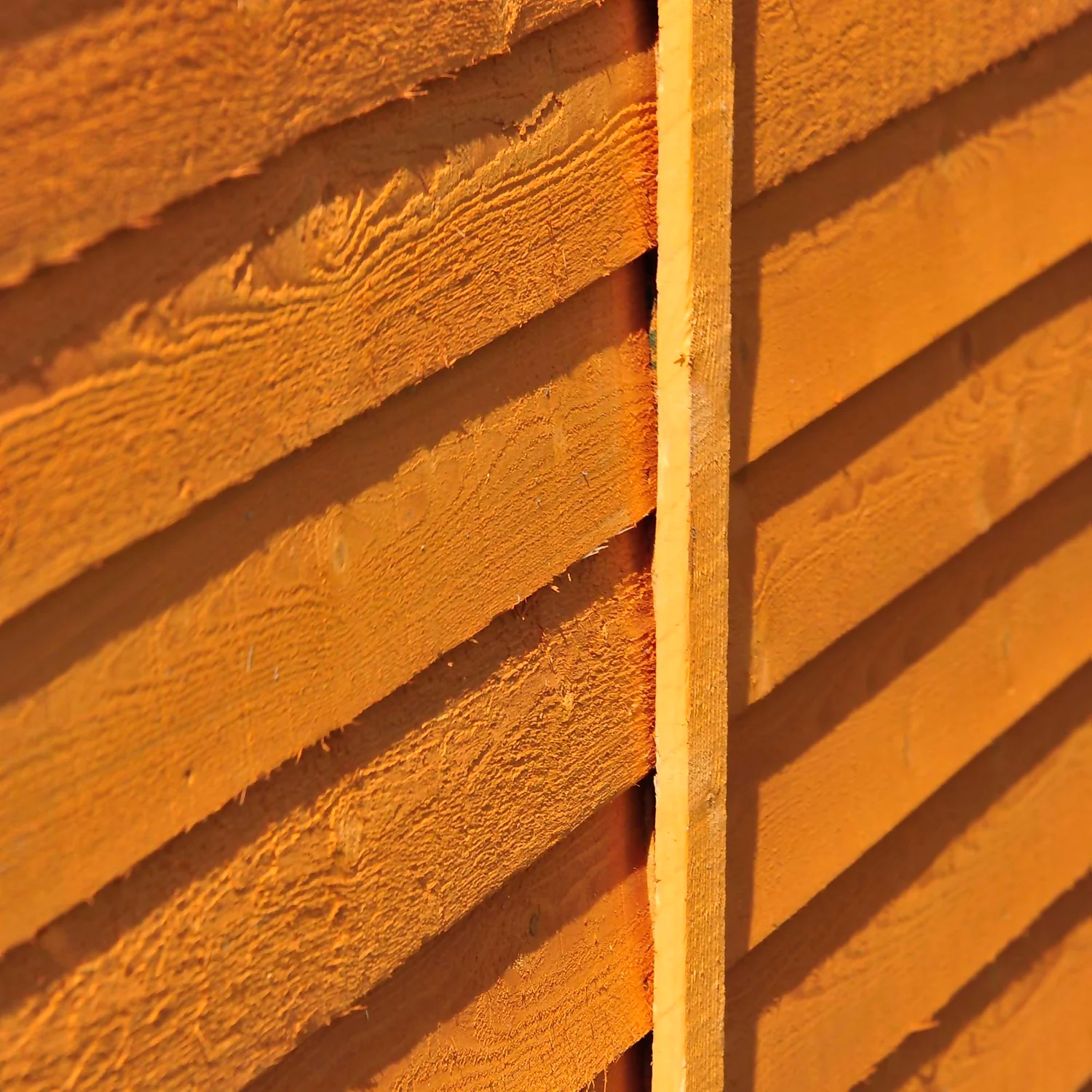 Shire 12 X 6ft Shed Overlap Double Door - No Windows 7 Shire 12 X 6ft Shed Overlap Double Door - No Windows - Image 7