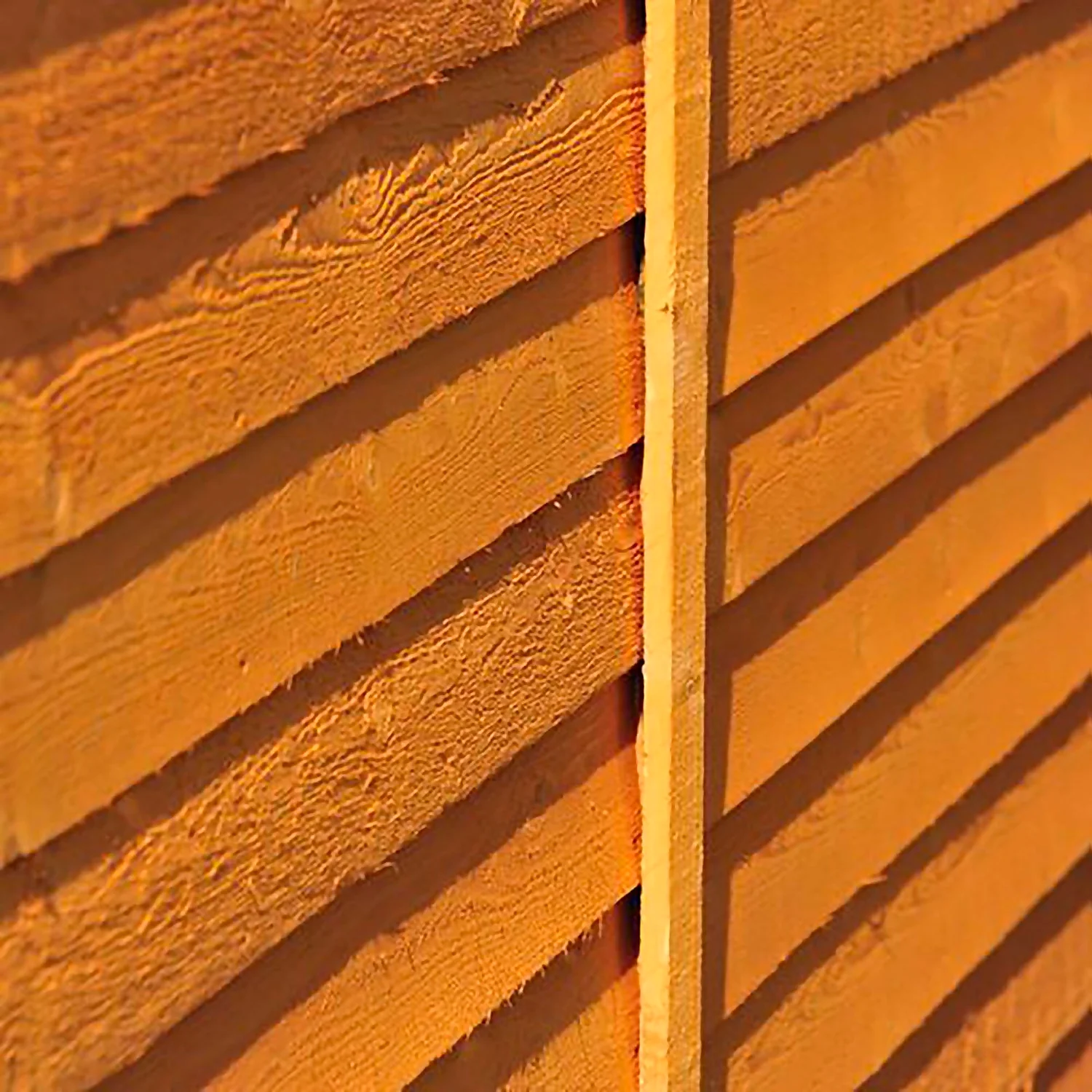 Shire 12 X 8ft Shed Overlap Double Door - No Windows 8 Shire 12 X 8ft Shed Overlap Double Door - No Windows - Image 8