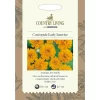 Country Living Coreopsis Early Sunrise Seeds