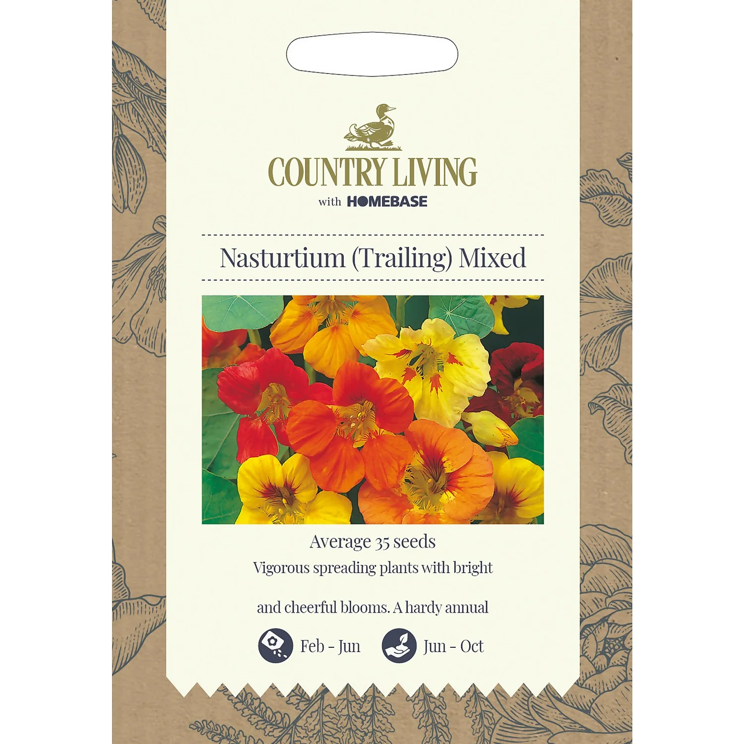 Country Living Nasturtium Trailing Mixed 1 Country Living Nasturtium Trailing Mixed