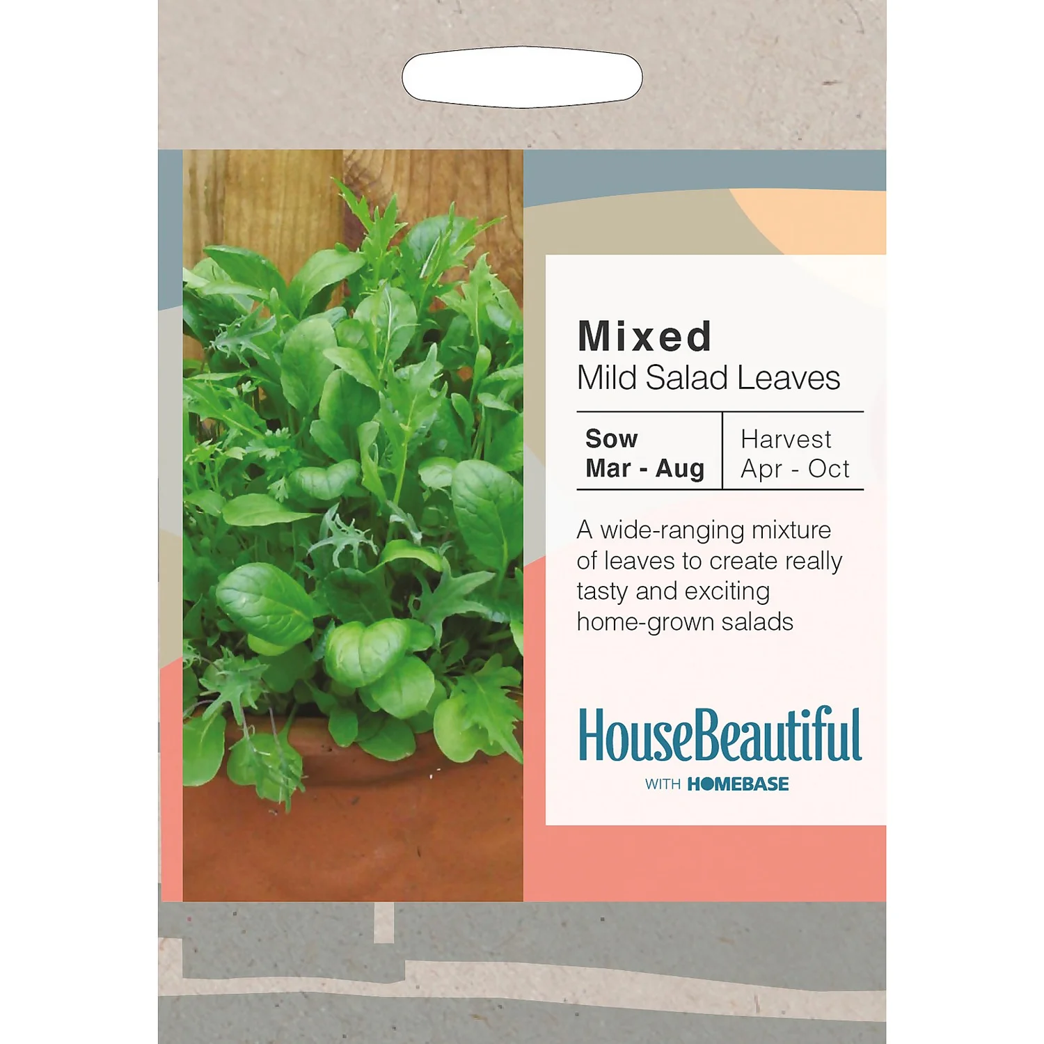 House Beautiful Mixed Mild Salad Leaves Seeds 1 House Beautiful Mixed Mild Salad Leaves Seeds