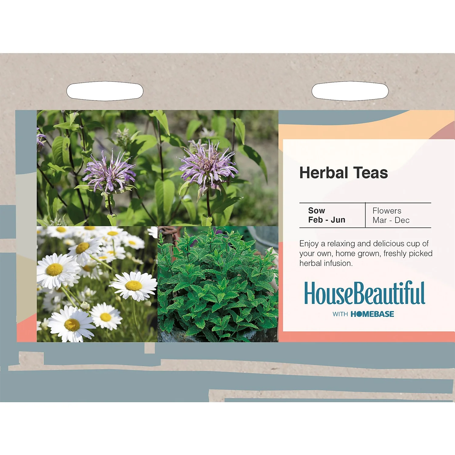 House Beautiful Herbal Teas Seeds 1 House Beautiful Herbal Teas Seeds