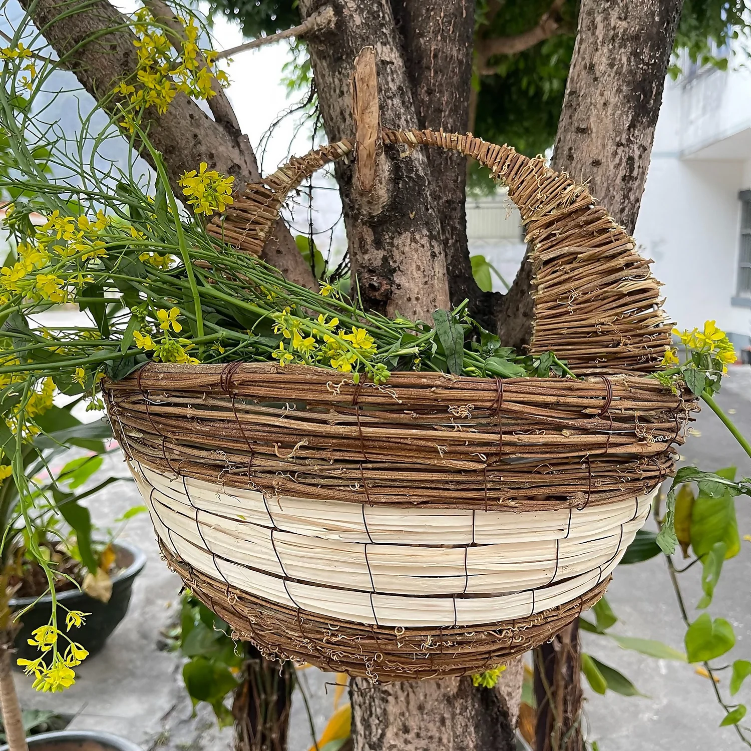 16" Yellow Rattan Willow Wall Basket 2 16" Yellow Rattan Willow Wall Basket - Image 2