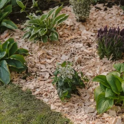 Westland Rustic Wood Chips - 60L -Garden Haven Shop 13280769 1564929084866478