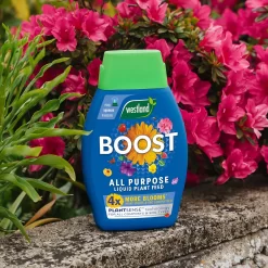 Westland Boost All Purpose Plant Food 1L 13 Westland Boost All Purpose Plant Food 1L -Garden Haven Shop 13411841 8474971590810400
