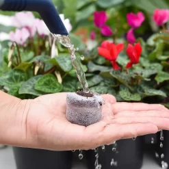 Coco & Coir Seed Germination Dots - 40mm -Garden Haven Shop 13487129 3894919981363337