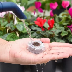 Coco & Coir Seed Germination Dots - 40mm -Garden Haven Shop 13487129 7814919981385408