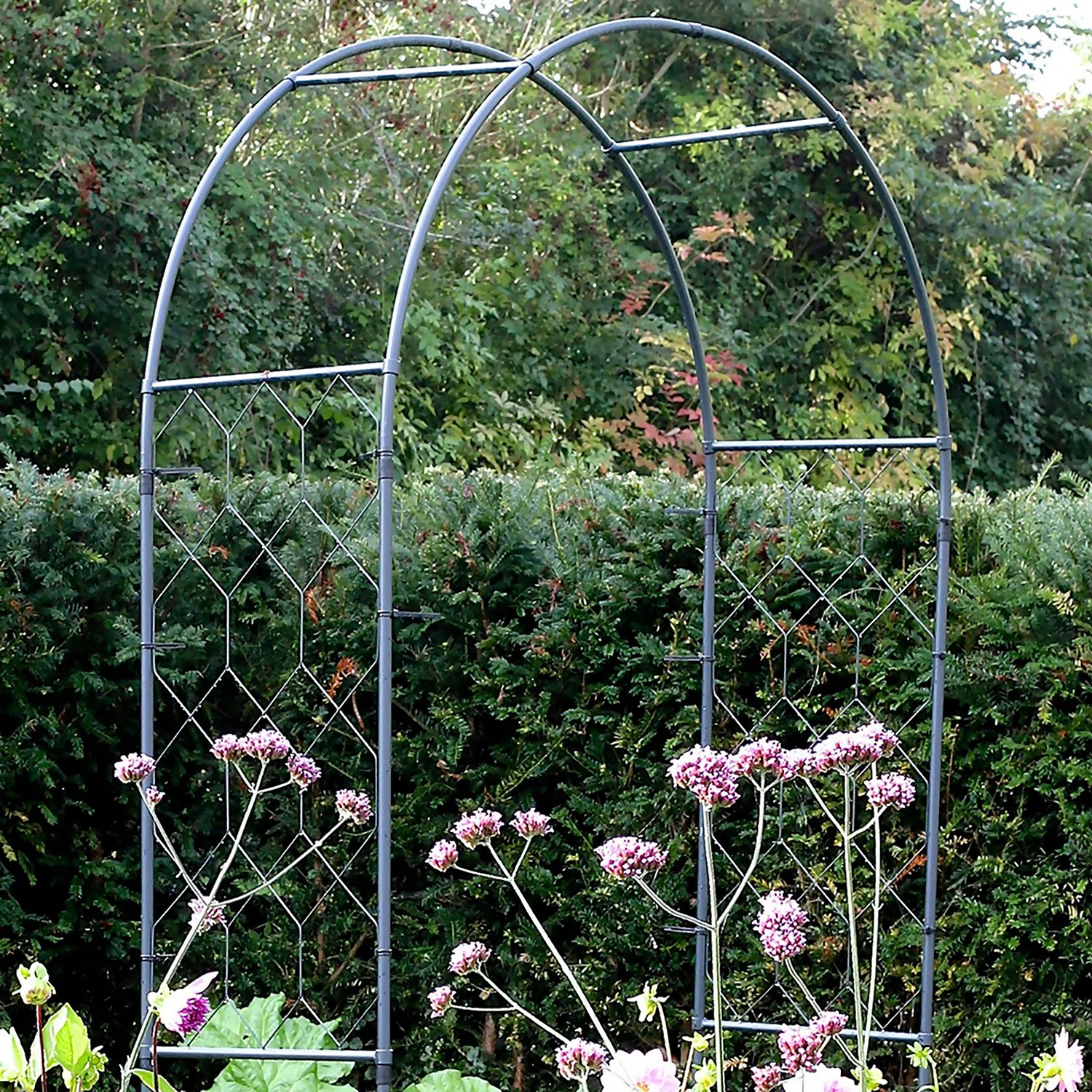 Agriframes Round Garden Arch - (H)2.1 X (W)1.2 X (D)0.45 M - Black 2 Agriframes Round Garden Arch - (H)2.1 X (W)1.2 X (D)0.45 M - Black - Image 2